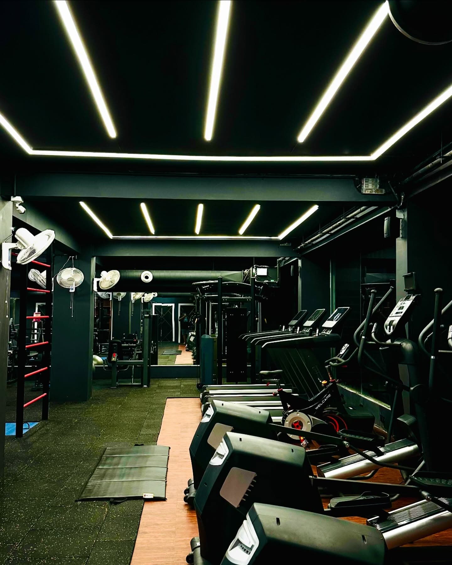 Gym cardio section with treadmills and ellipticals, strength area in background, modern LED lighting